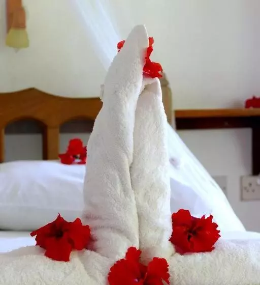 اتاق استاندارد با چشم‌انداز باغ, Bernique Guesthouse