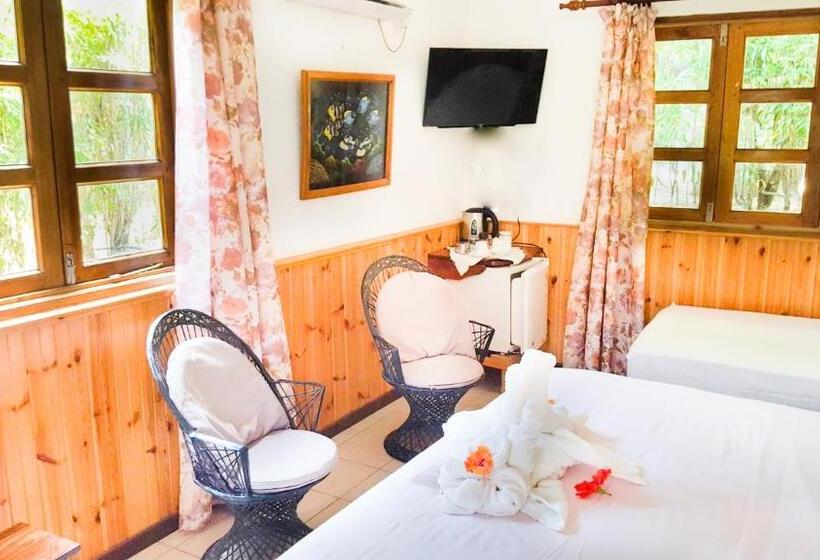 اتاق استاندارد سه تخته با چشم‌انداز باغ, Bernique Guesthouse