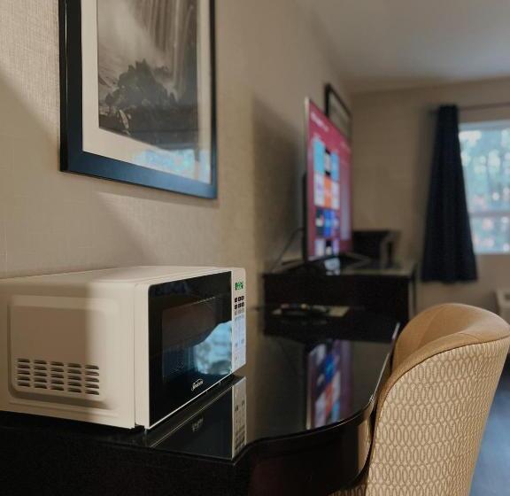 غرفة ديلوكس, Big Bird Inn