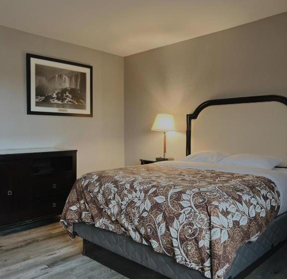 غرفة قياسية فردية, Big Bird Inn