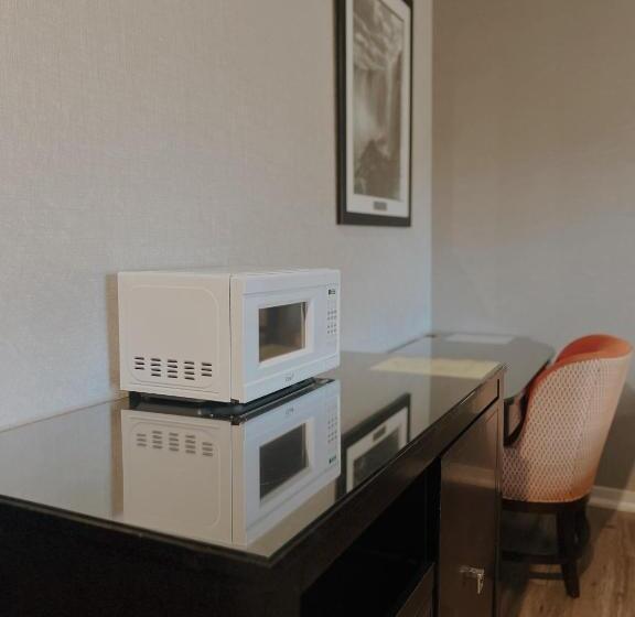 إستوديو ديلوكس, Big Bird Inn