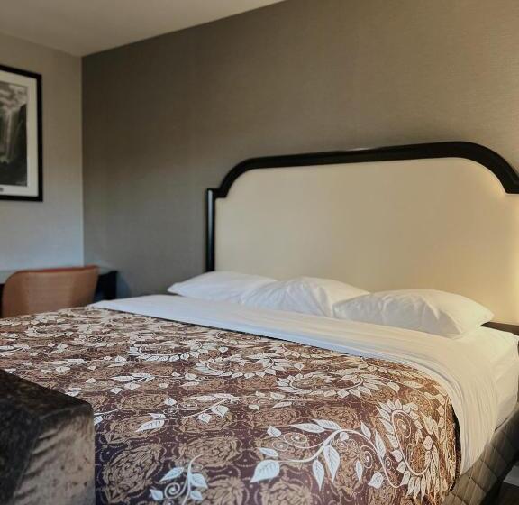 إستوديو ديلوكس, Big Bird Inn