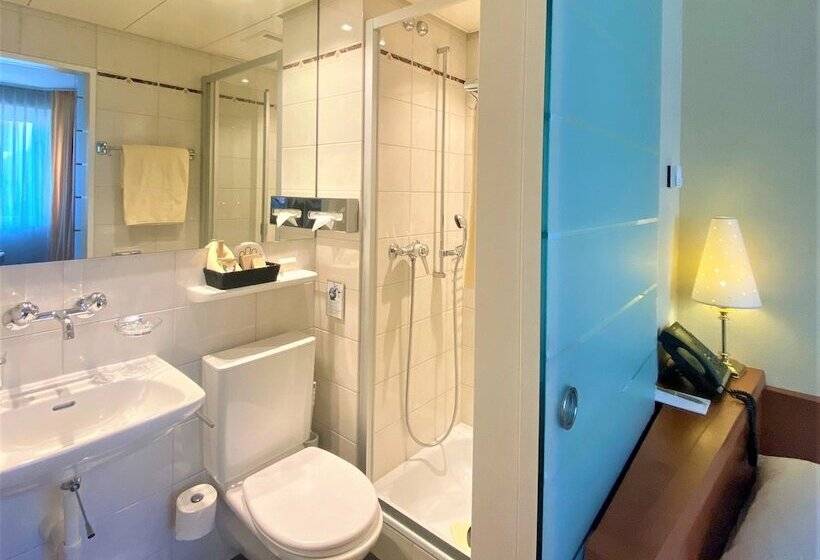 エコノミーシングルルーム, Gaia Hotel Basel The Sustainable 4 Star