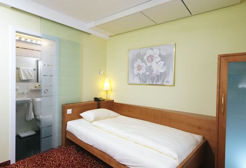 エコノミーシングルルーム, Gaia Hotel Basel The Sustainable 4 Star