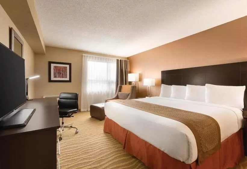 اتاق استاندارد با تخت بزرگ, Park Inn By Radisson Torontomarkham
