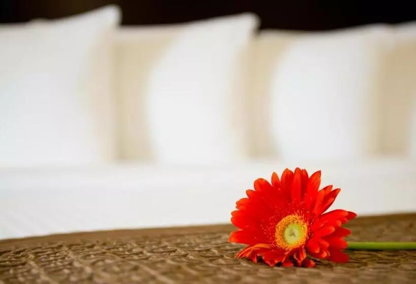 استودیو استاندارد با تخت کینگ, Park Inn By Radisson Torontomarkham