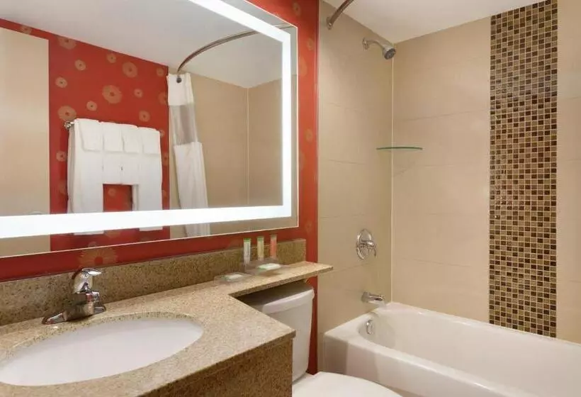 استودیو استاندارد با تخت کینگ, Park Inn By Radisson Torontomarkham