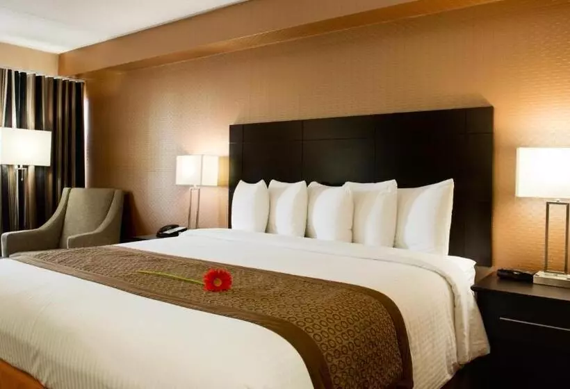 استودیو استاندارد با تخت کینگ, Park Inn By Radisson Torontomarkham