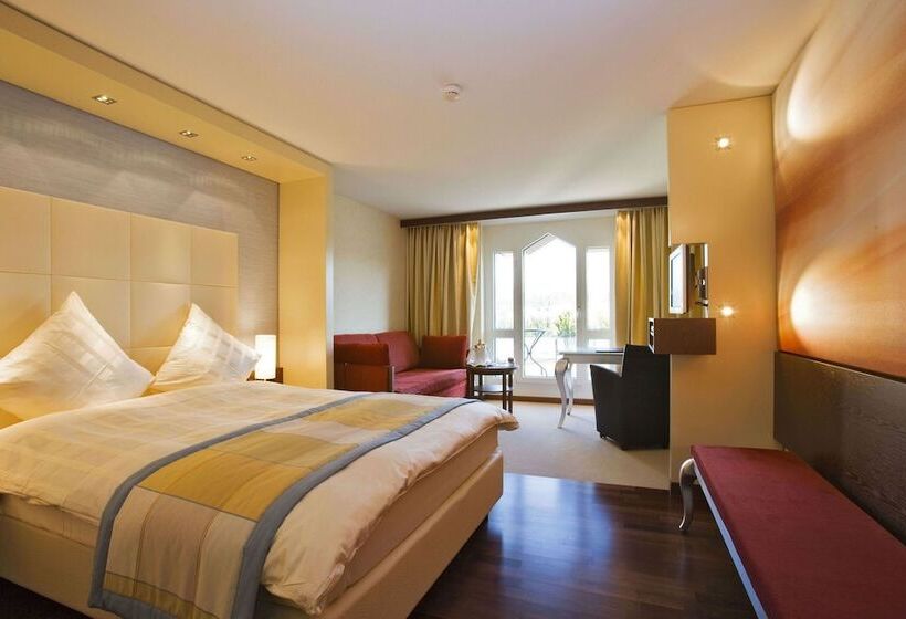 舒适型房间, Säntispark