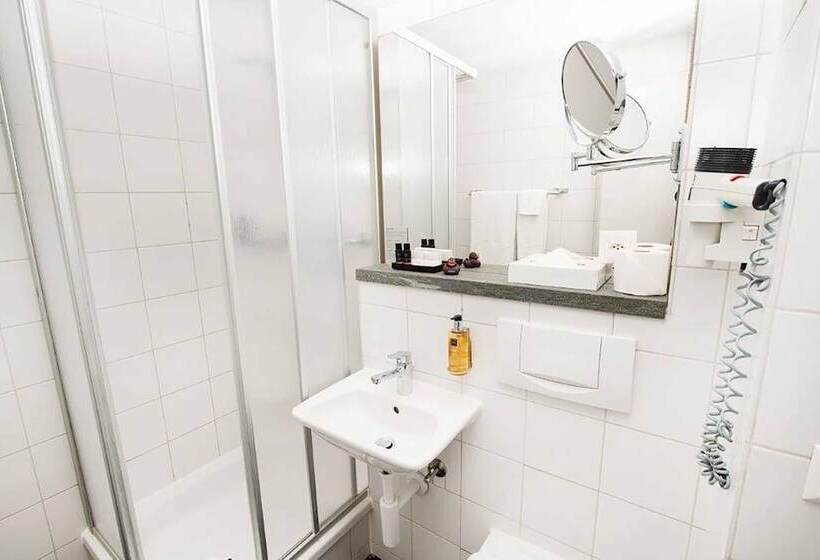 اتاق استاندارد, Sorell Hotel Rex