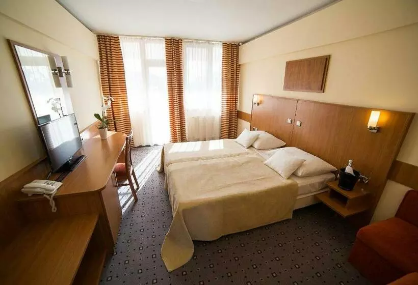 スタンダードトリプルルーム, Art Hotel Superior