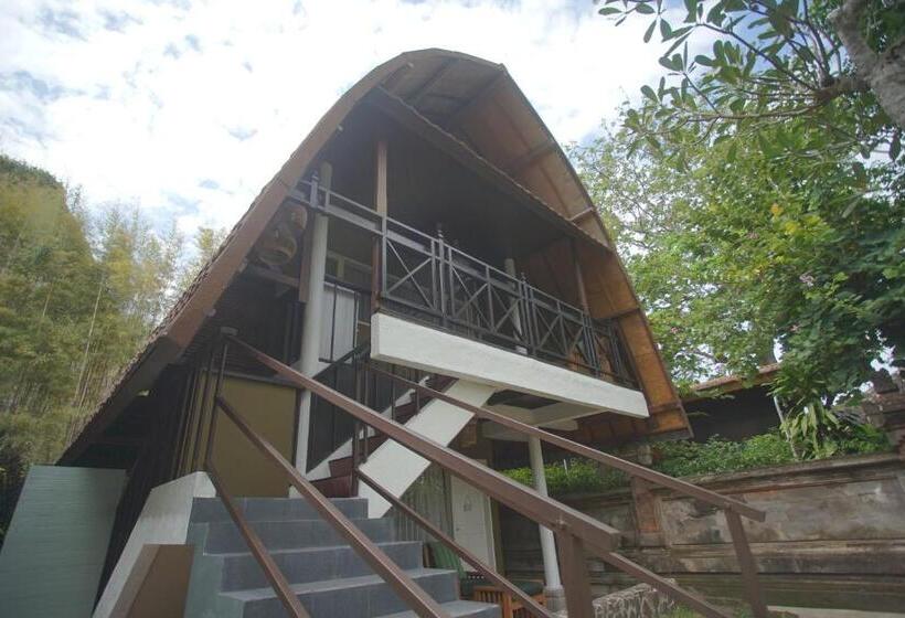 Standardrum, Peneeda View Beach