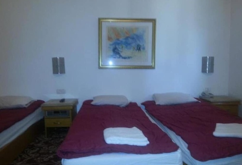 غرفة قياسية ثلاثية, Zion