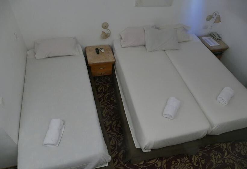 غرفة قياسية ثلاثية, Zion