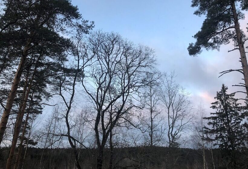 חדר סטנדרט, Backbyn Kartano