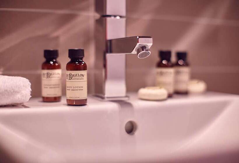 اتاق لوکس, Pullman Toulouse Centre Ramblas