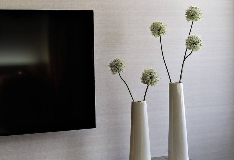 اتاق سوپریور, Pullman Toulouse Centre Ramblas