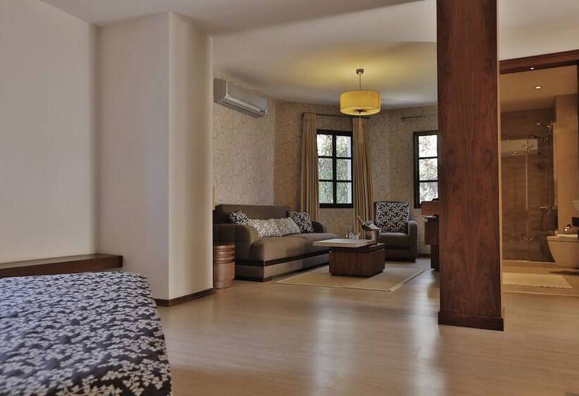 Трехместный Номер Superior, Torbahan