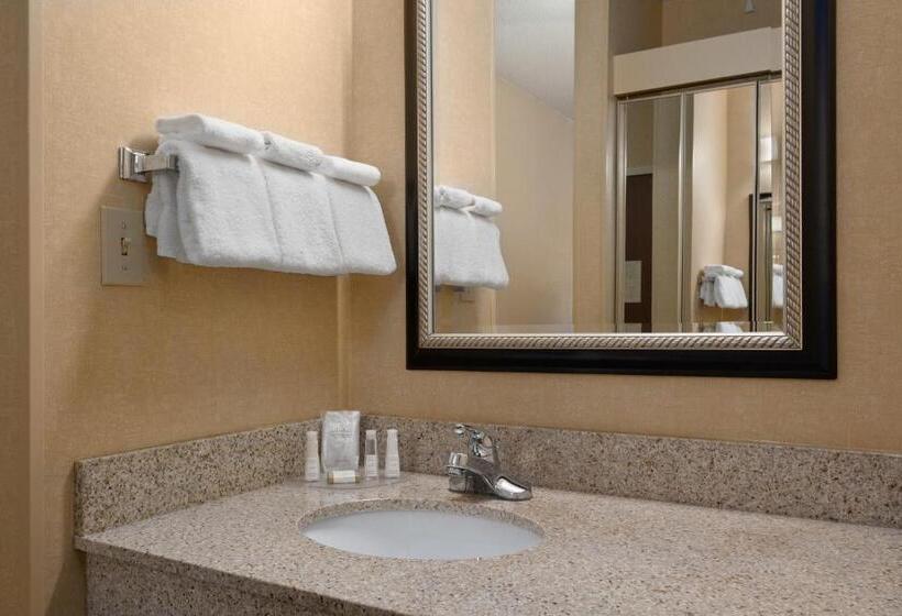 스탠다드 룸 킹사이즈 침대, Baymont By Wyndham Columbia Northwest