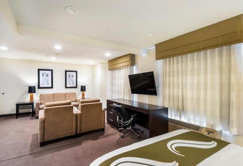 غرفة قياسية سرير كينج, Quality Inn