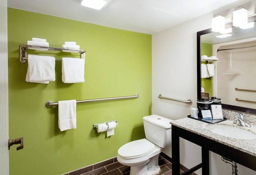 غرفه قياسيه سريرين مزدوجين, Quality Inn