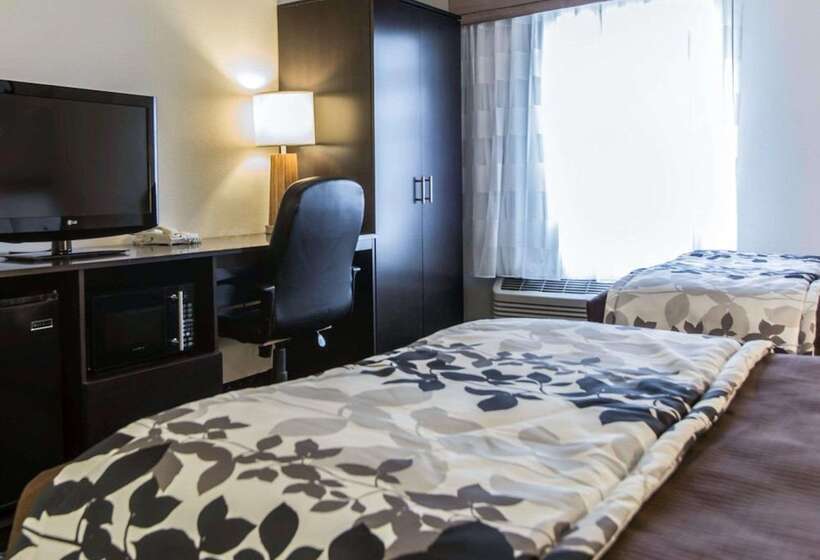 غرفه قياسيه سريرين مزدوجين, Sleep Inn Florence North