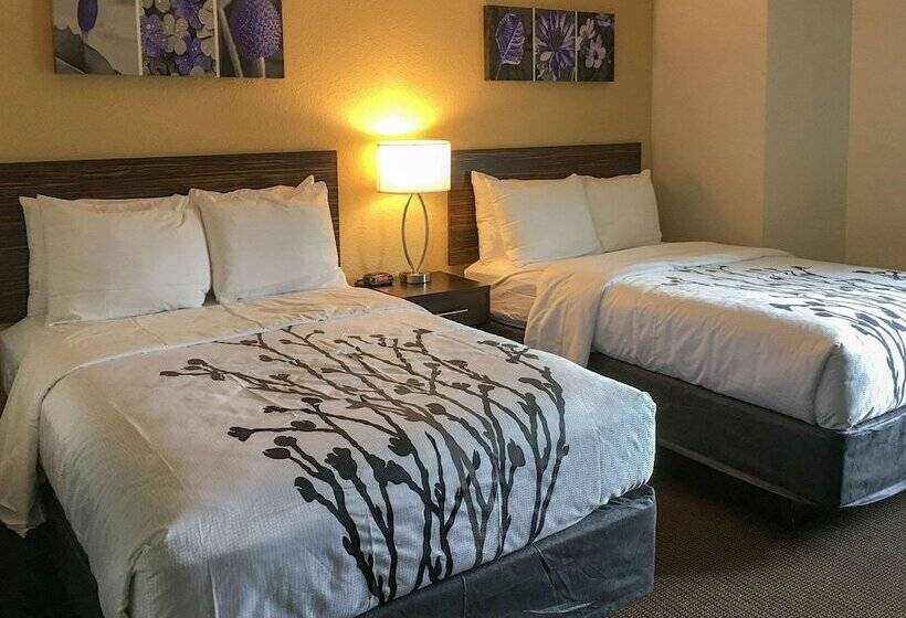 غرفه قياسيه سريرين مزدوجين, Sleep Inn Florence North