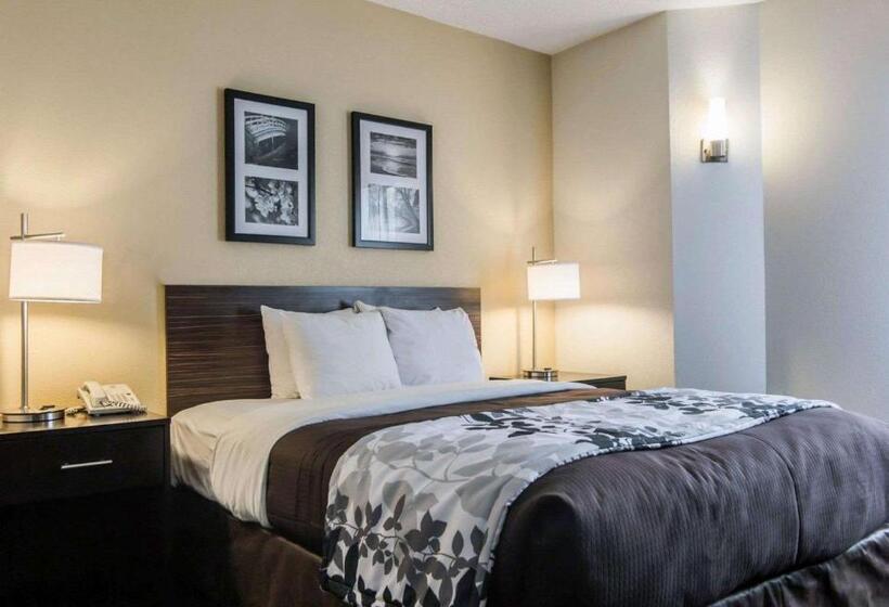 חדר סטנדרט מותאם לאדם עם מוגבלויות, Sleep Inn Florence North