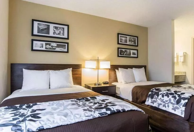 اتاق استاندارد با 2 تخت دوبل, Sleep Inn Florence North
