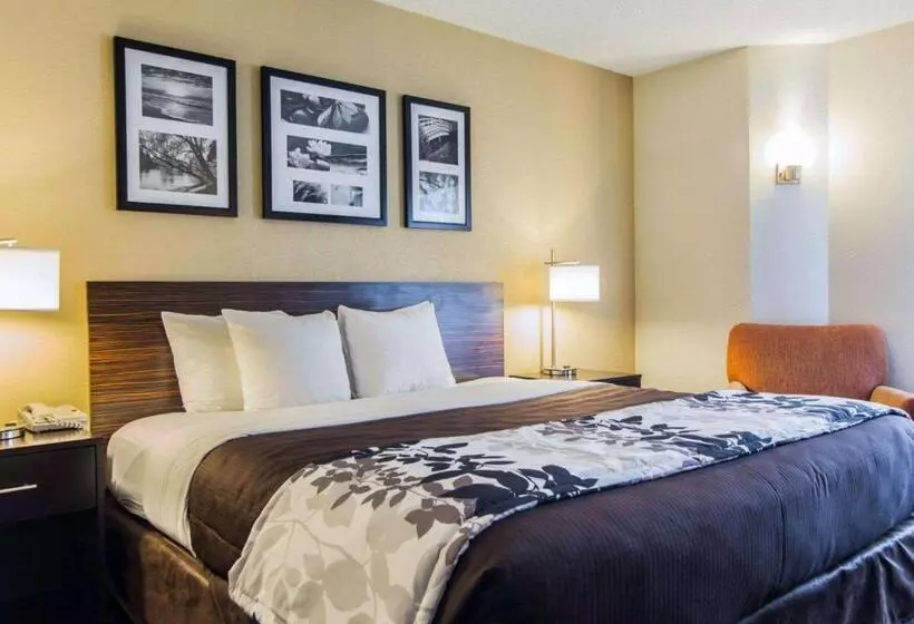 اتاق استاندارد با تخت بزرگ, Sleep Inn Florence North