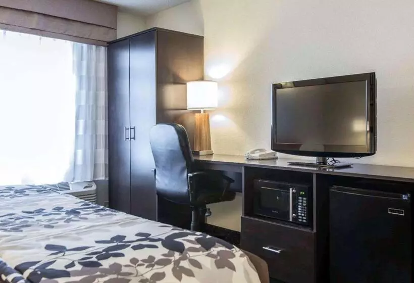 اتاق استاندارد با تخت بزرگ, Sleep Inn Florence North