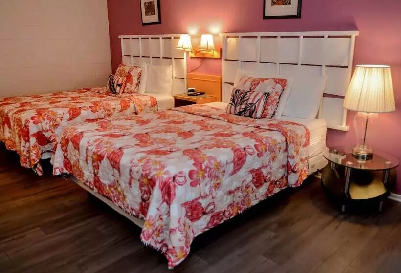 デラックスの４人部屋, The Sunset Motel