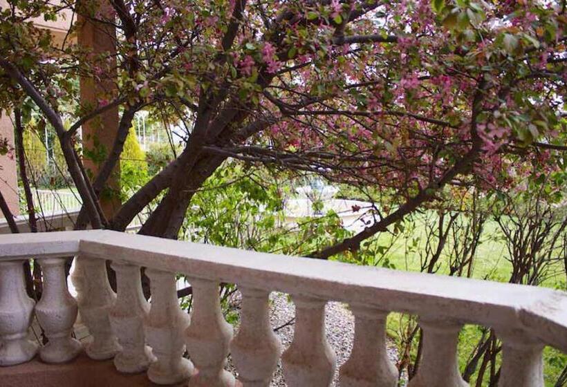 Номер Стандарт, Forest Villas