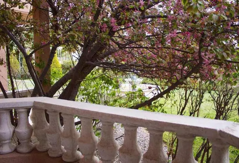 اتاق استاندارد, Forest Villas