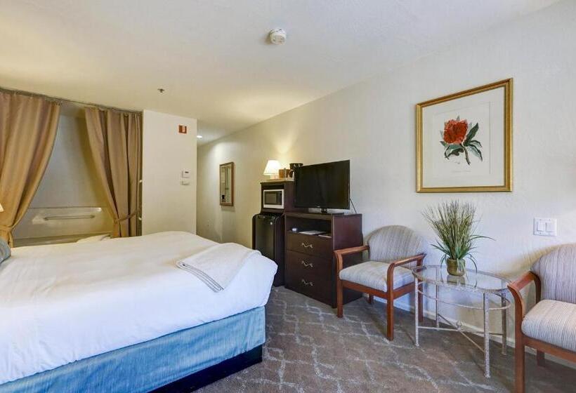 غرفة ديلوكس سرير كينج, Forest Villas