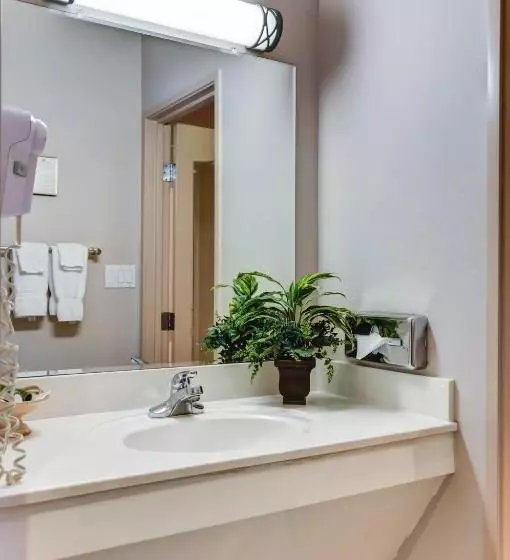 اتاق استاندارد با تخت بزرگ برای معلولان, Forest Villas