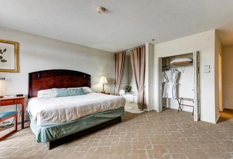 חדר דחוקס עם מיטת קינג, Forest Villas