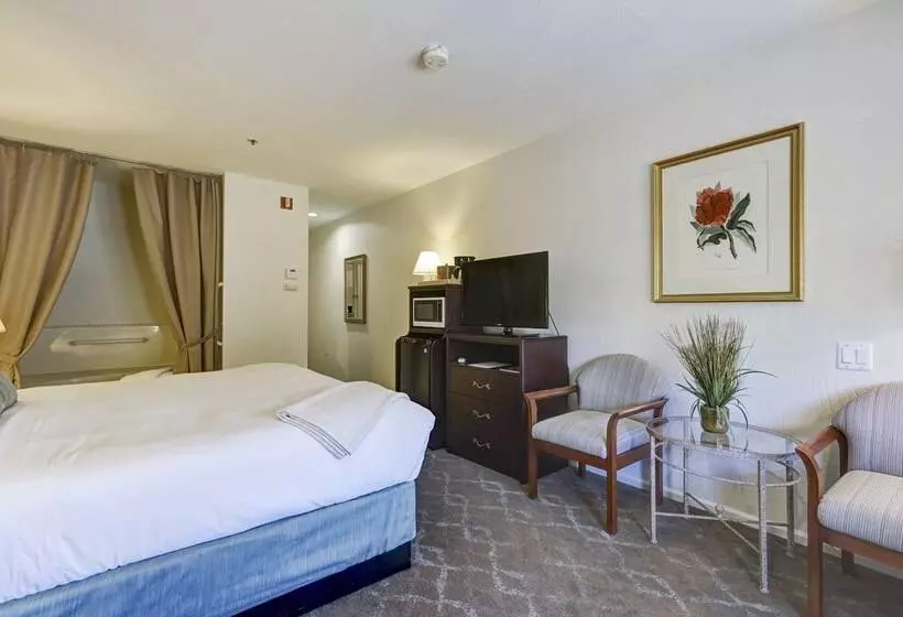 اتاق سوپریور با تخت بزرگ, Forest Villas