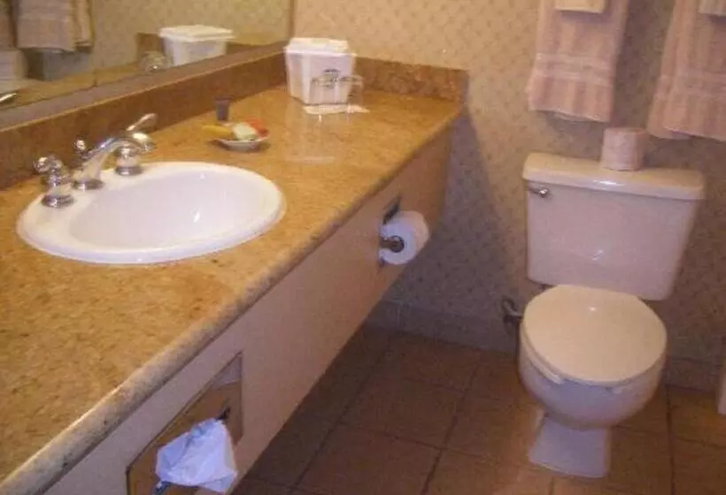 Standard-huone King-vuode, Golden Nugget Laughlin