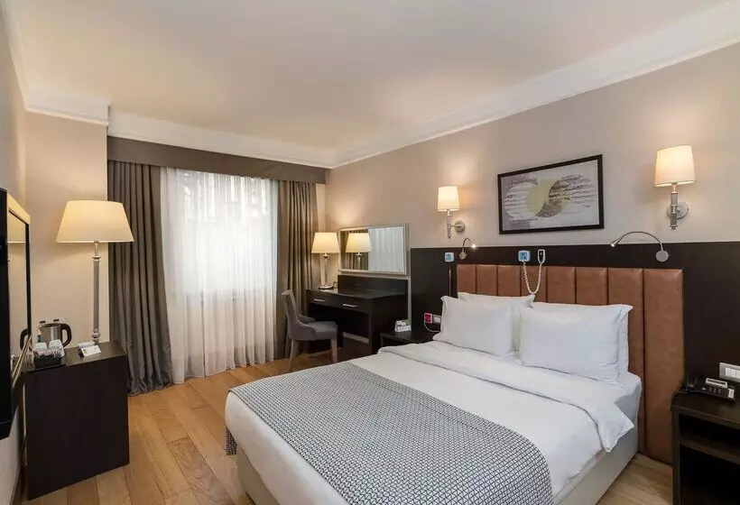 身障者適用スタンダードルーム, Holiday Inn Istanbul Old City, An Ihg