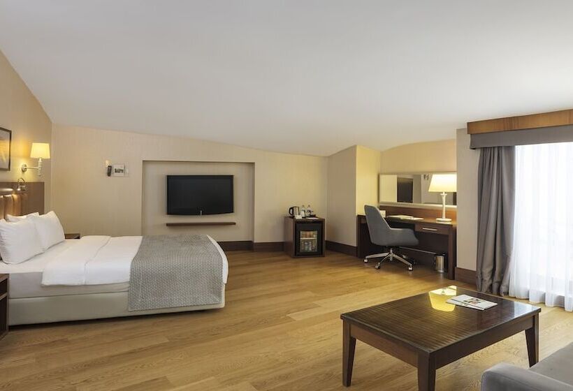 سوئیت با بالکن, Holiday Inn Istanbul Old City, An Ihg