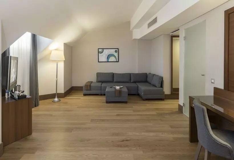スイート, Holiday Inn Istanbul Old City, An Ihg