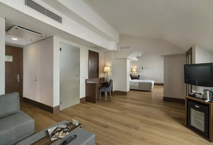 スイート, Holiday Inn Istanbul Old City, An Ihg