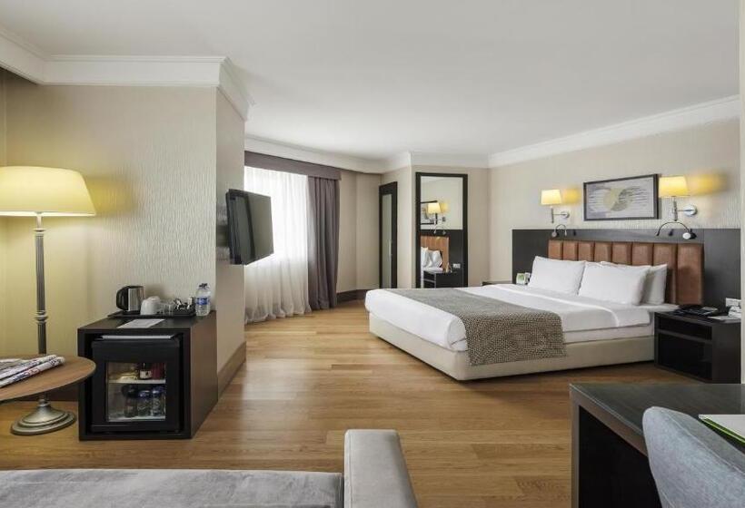 اتاق اجرایی, Holiday Inn Istanbul Old City, An Ihg