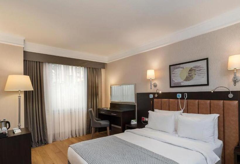 اتاق استاندارد برای معلولان, Holiday Inn Istanbul Old City, An Ihg