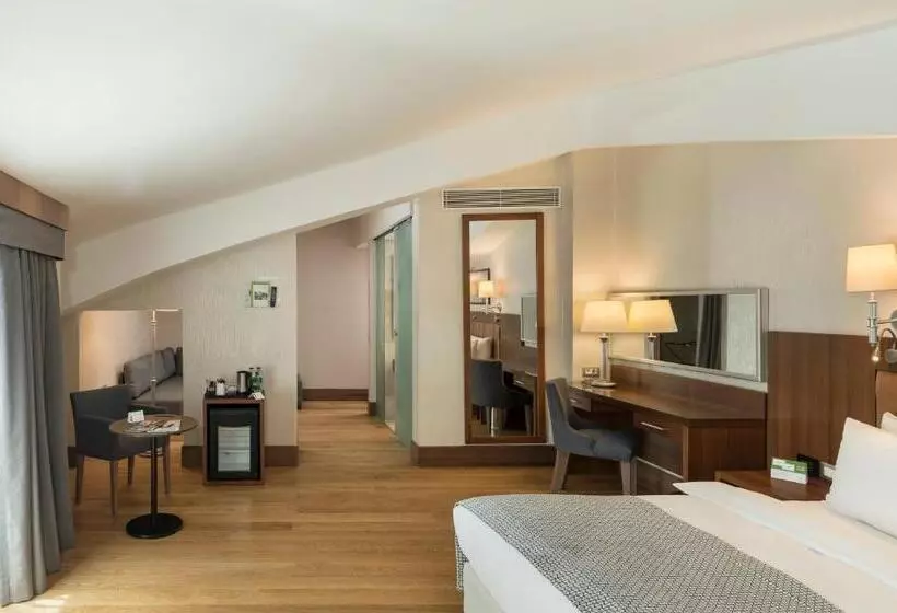 バルコニー付きスタンダードルーム, Holiday Inn Istanbul Old City, An Ihg