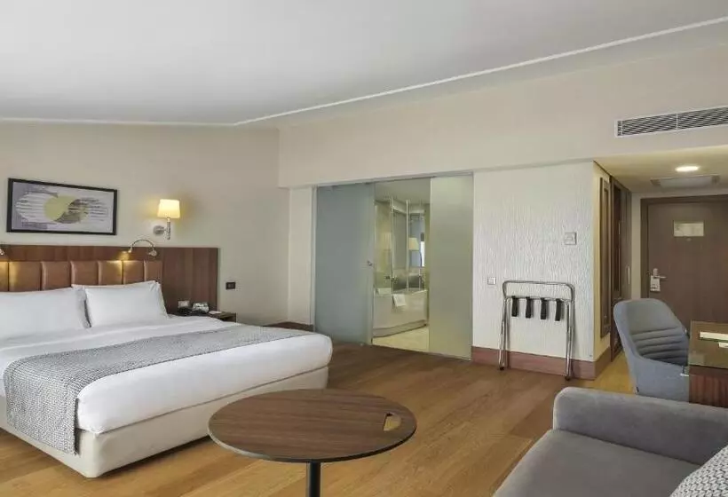 バルコニー付スイート, Holiday Inn Istanbul Old City, An Ihg
