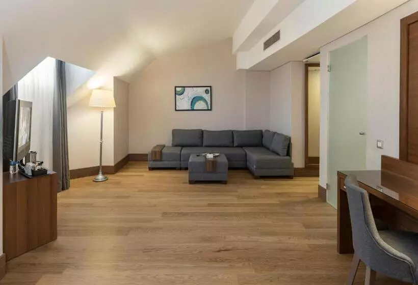 スイート, Holiday Inn Istanbul Old City, An Ihg