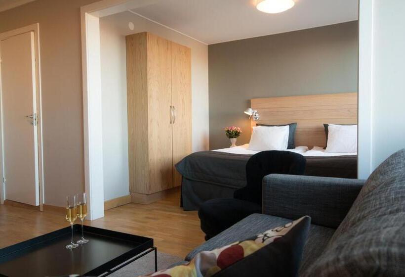 디럭스 룸 킹사이즈 침대, L Aston