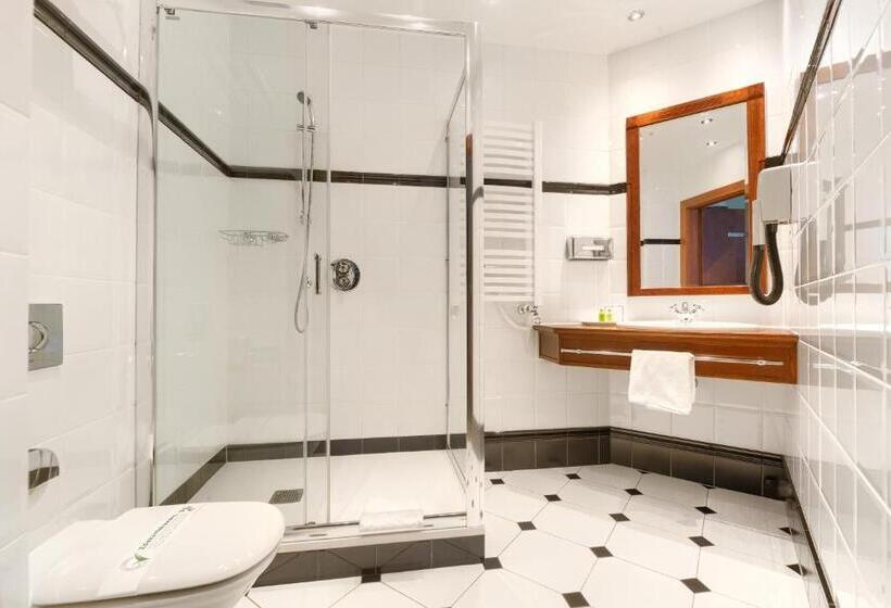 スタンダードルーム, Park